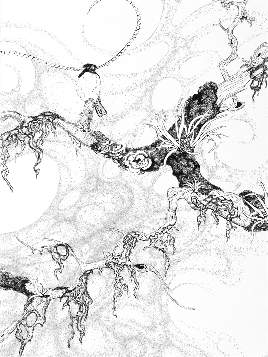 Council in the Canopy 2