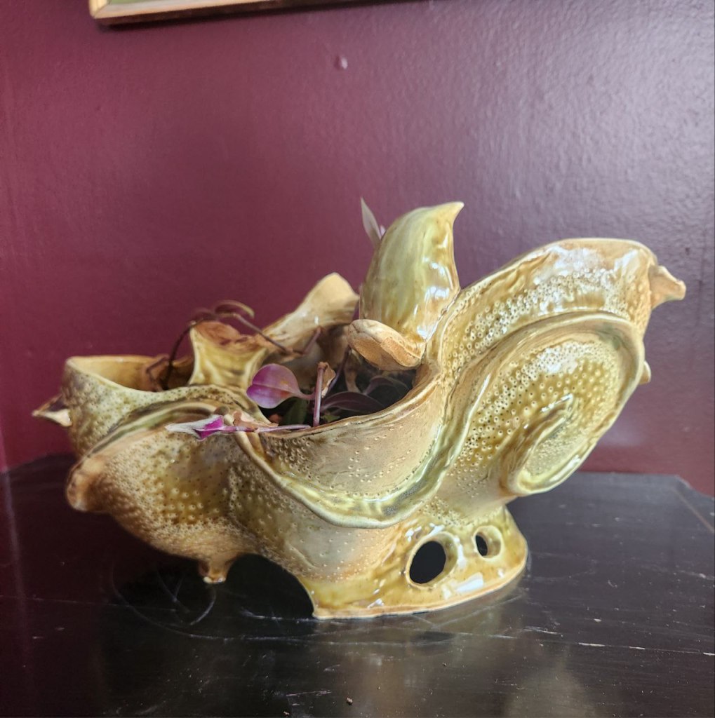 photo_2025-06-06_19-56-14